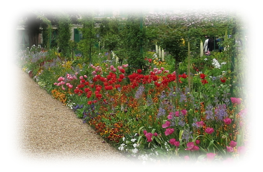Flowers in the Clos Normand at Giverny