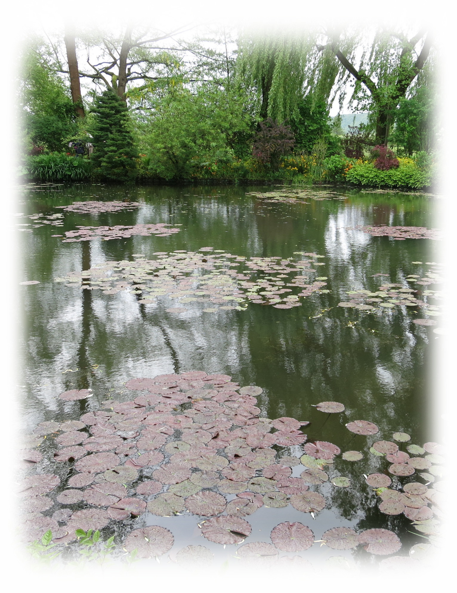 The water garden of Giverny made by Claude Monet